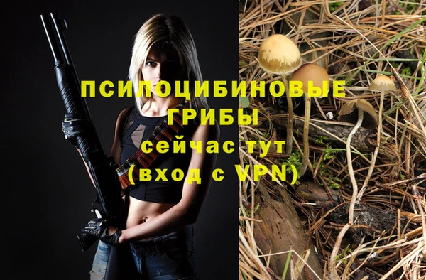 кристаллы Алзамай
