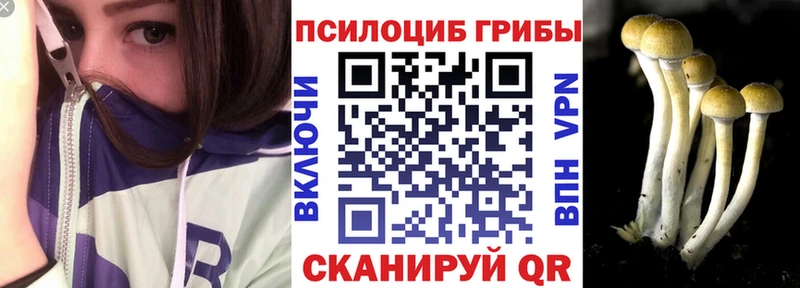МЕГА ТОР  Тейково  Псилоцибиновые грибы мухоморы 