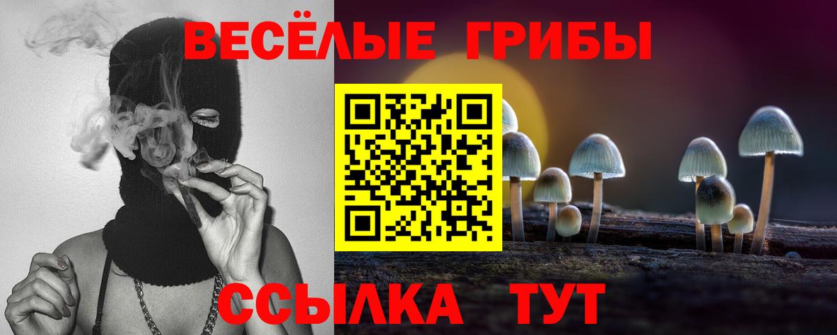 Псилоцибиновые грибы Cubensis  Псилоцибиновые грибы Magic Shrooms  Вход с VPN  Тейково 